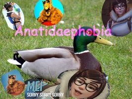 Anatidaephobia